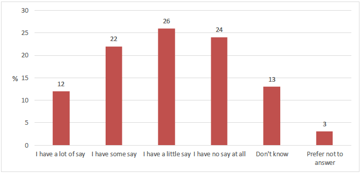 Figure 4.1 How much say young people have on what they learn