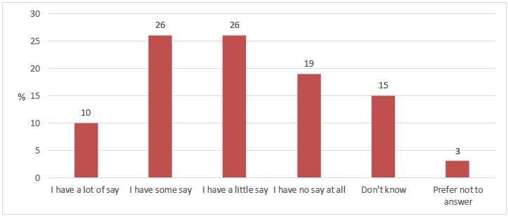 Figure 4.5 How much say young people have on how they learn