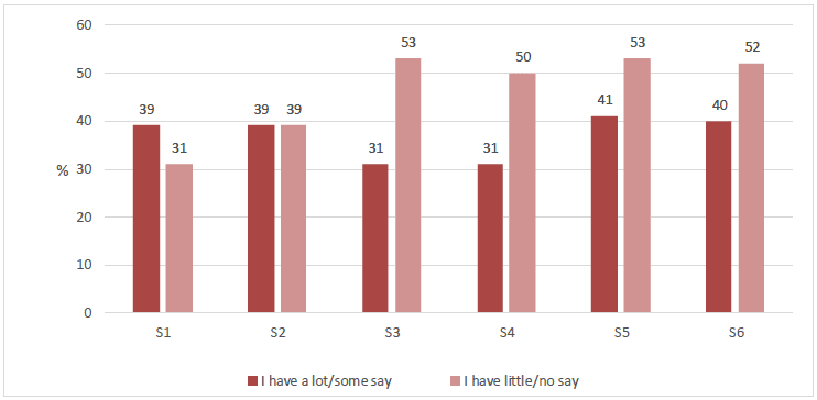 Figure 4.7 How much say young people have on how they learn, by school year