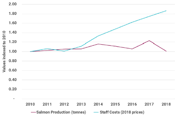 Chart shows the change in staff costs and production of salmon producers. Staff costs have been steadily increasing since 2013 despite fluctuations in salmon production.