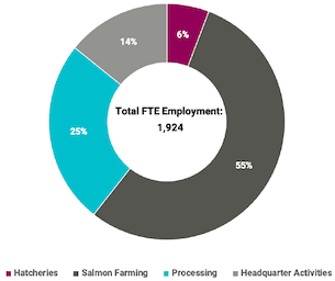 The pie chart shows employment by activity declared by the survey respondents: Salmon farming 55%; Processing 25%; Headquarter Activities 14%; Hatcheries 6%
