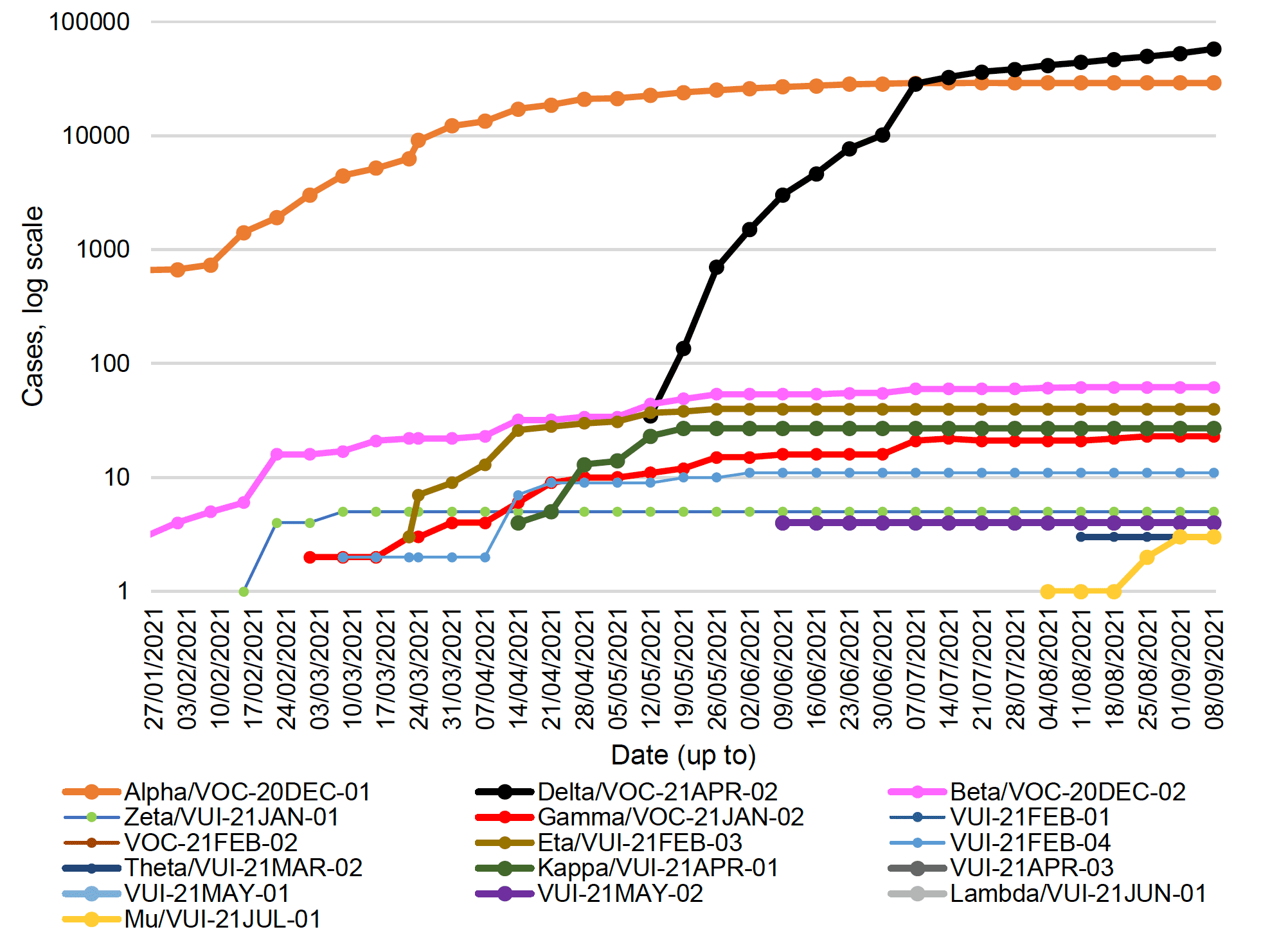 This line graph shows the number of cases of the variants of concern and variants of interest that have been detected by sequencing in Scotland each week, from 25 January to 8 September 2021.

Beta, also known as VOC-20DEC-02, first detected in South Africa, was increasing steadily since late January from 3 cases to 60 cases on the 7 July, and then increased to 62 cases by 11 August. Beta has remained at 62 cases since then. Eta, or VUI-21FEB-03, first identified in Nigeria, rapidly increased since mid-March and reached 40 cases at the end of May. Eta has remained stable over the last 15 weeks. Gamma increased to 23 cases in the week to 25 August but has not increased any further over the last weeks. There are also 27 cases of Kappa, or VUI-21APR-01, first identified in India, no change since mid-May. The first case of VUI-21Jul-01 emerged in the week to 4 August with three new case identified in the week to 1 September, however no change over the last week. Delta, also known as VOC-21APR-02, first identified in India, has seen a rapid increase in the past 17 weeks to 58,022 cases, an increase of 4,979 cases since the week before.
