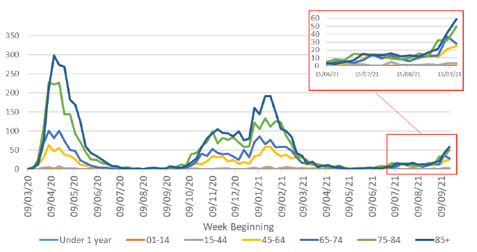 This line graph shows the weekly number of deaths for seven different age groups over time, from March 2020. In April 2020 the number of deaths in the four age groups over 45 reached a peak, with the highest number of deaths being in the over 85 age group. Deaths then declined steeply and the number of deaths was very low in all age groups from July to September 2020. In October the number of deaths started to increase and then plateaued during November and December 2020 for the four age groups over 45. At the end of December deaths rose steeply again to another peak in January 2021, with the highest deaths being in the over 85 age group. The number of deaths has since declined steeply with the largest decrease in the over 85 age group, followed by a sharp decline in the 75 to 84 age group. Since mid-June 2021 there has been a slight increase in deaths overall, with the greatest increase in the 45 plus age groups. However, the number of deaths in all age groups remained low with only a slight recent increase seen with 165 deaths registered over the latest week. Deaths in the under 44 age groups have remained very low throughout the whole period.