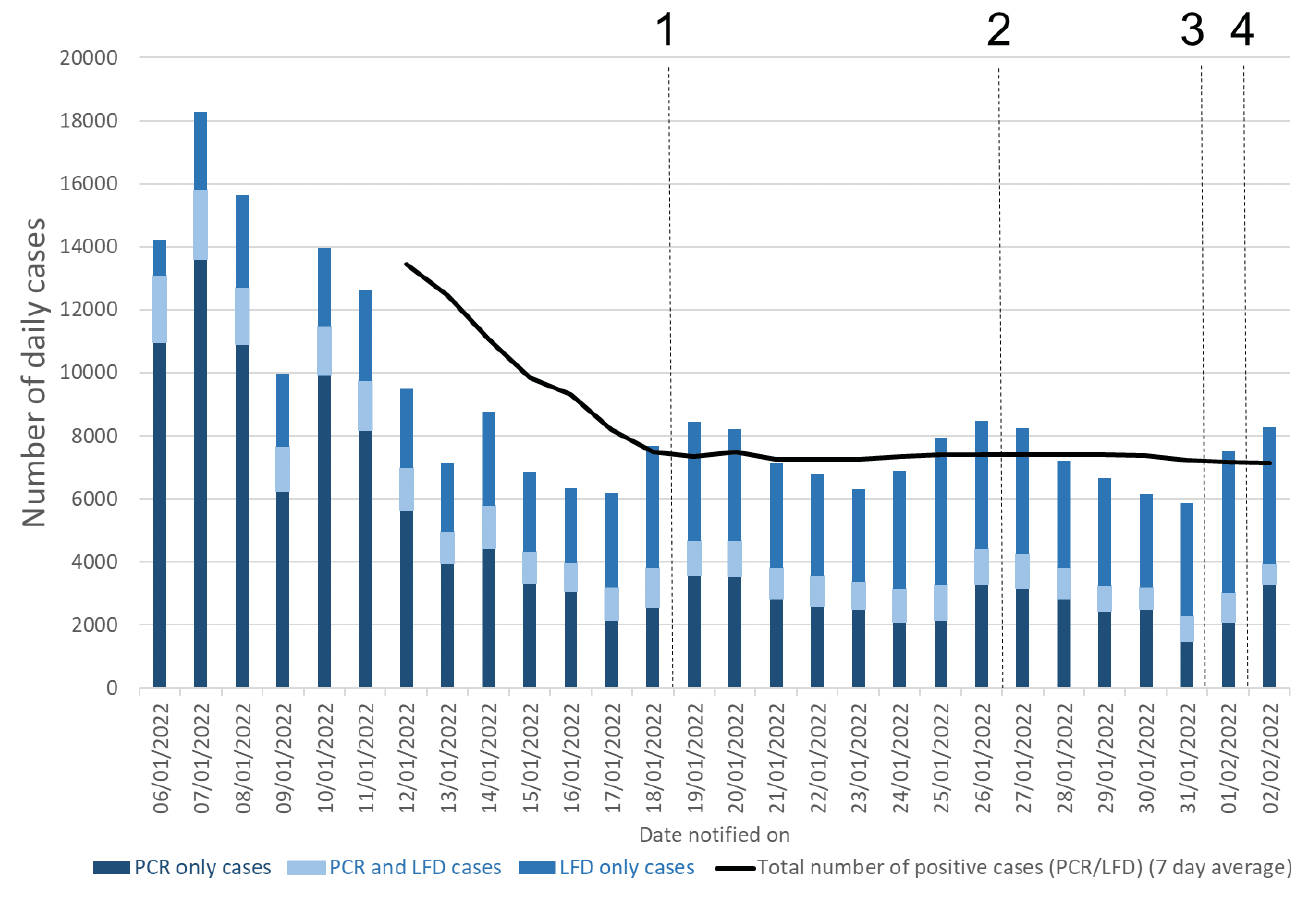 A line chart showing the number of PCR and LFD cases by reporting date, with lines showing the cut-off points for each of the modelling inputs.