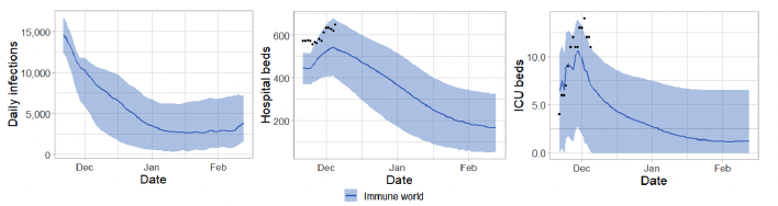 A series of graphs showing potential infections, hospital occupancy and ICU occupancy trajectory in Immune World.