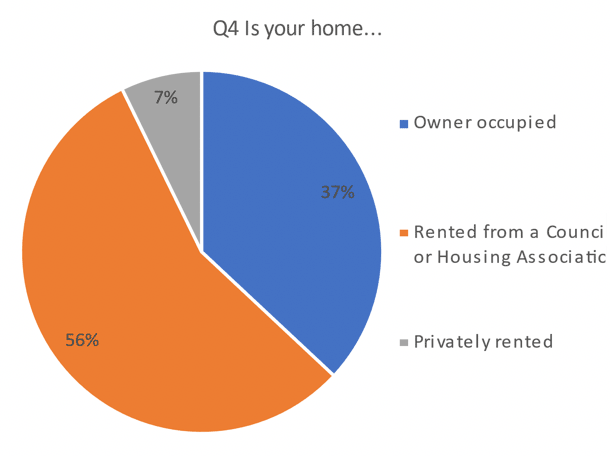 Pie chart indicating tenancy type of the homes surveyed.