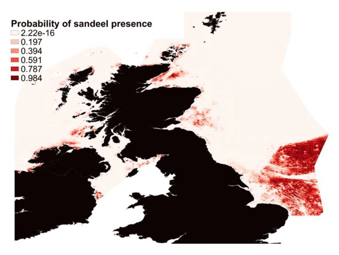 A map of the North and Celtic Seas showing areas of predicted probability of sandeel occurrence, illustrated by a colour ramp from 0 (light colour) to 1 (dark colour). The highest probability of presence is seen in the Dogger Bank area, but the model also identifies known areas of sandeel grounds off the east coast of Scotland and off the west coast.