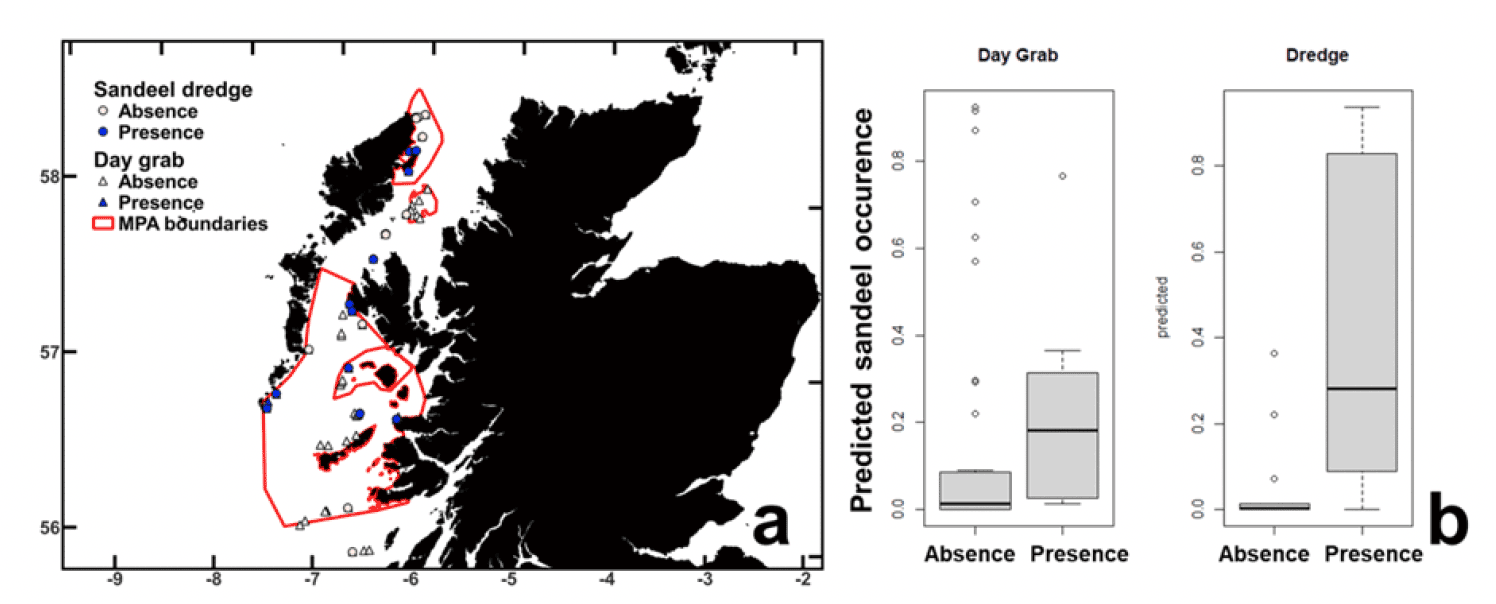 Two charts side by side. Figure 3a is a map of sample sites off the west coast of Scotland, showing sandeel presence and absence using two sampling gears – the day grab and dredge. The observed occurrence is in good agreement with the modelled predictions seen in Figure 2. Figure 3b consists of two boxplots showing predicted sandeel occurrence, ranging from 0 to 1, at sites where sandeel were absent or present in the grab and dredge samples.  