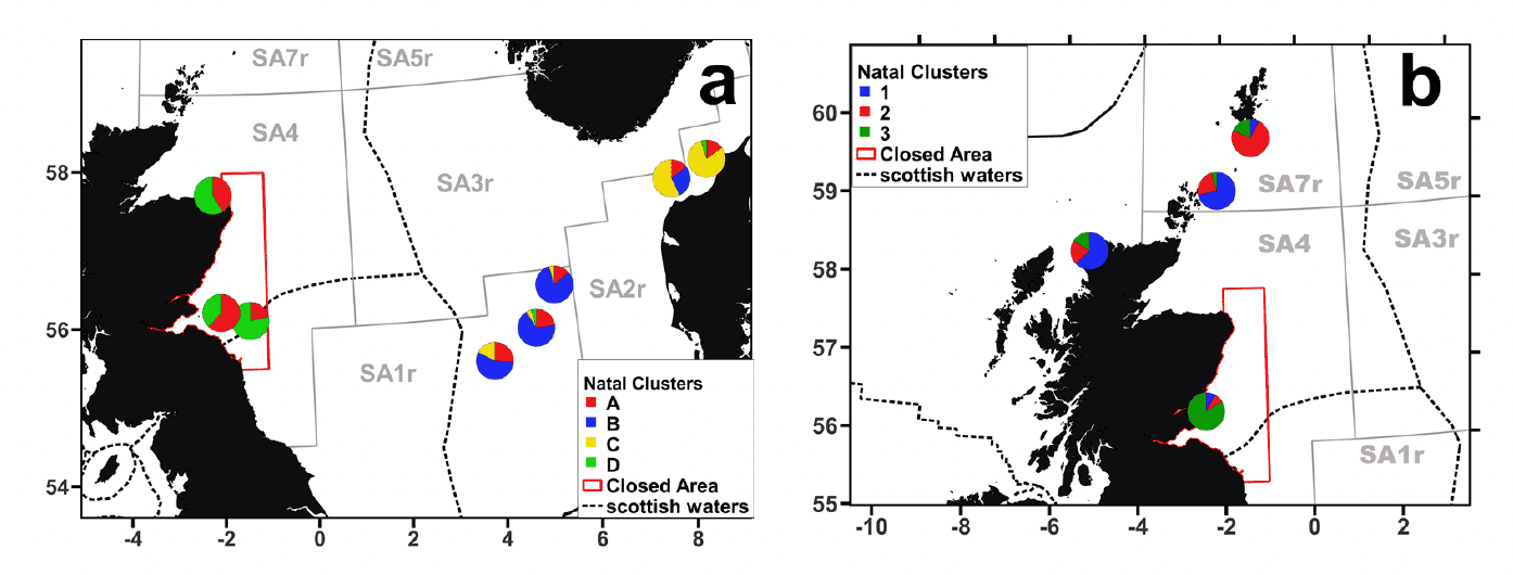 Two maps side by side, showing the diversity of larval sources contributing to sandeel grounds at the North Sea scale (5a, left figure) and within scottish waters (5b, right figure). Natal clusters (labelled A to D for the North Sea, and 1 to 3 for Scottish waters) are represented by pie charts located on the adult sampling sites. The composition of natal clusters indicate that larval dispersal occurs over a limited spatial range, with little mixing across management areas.