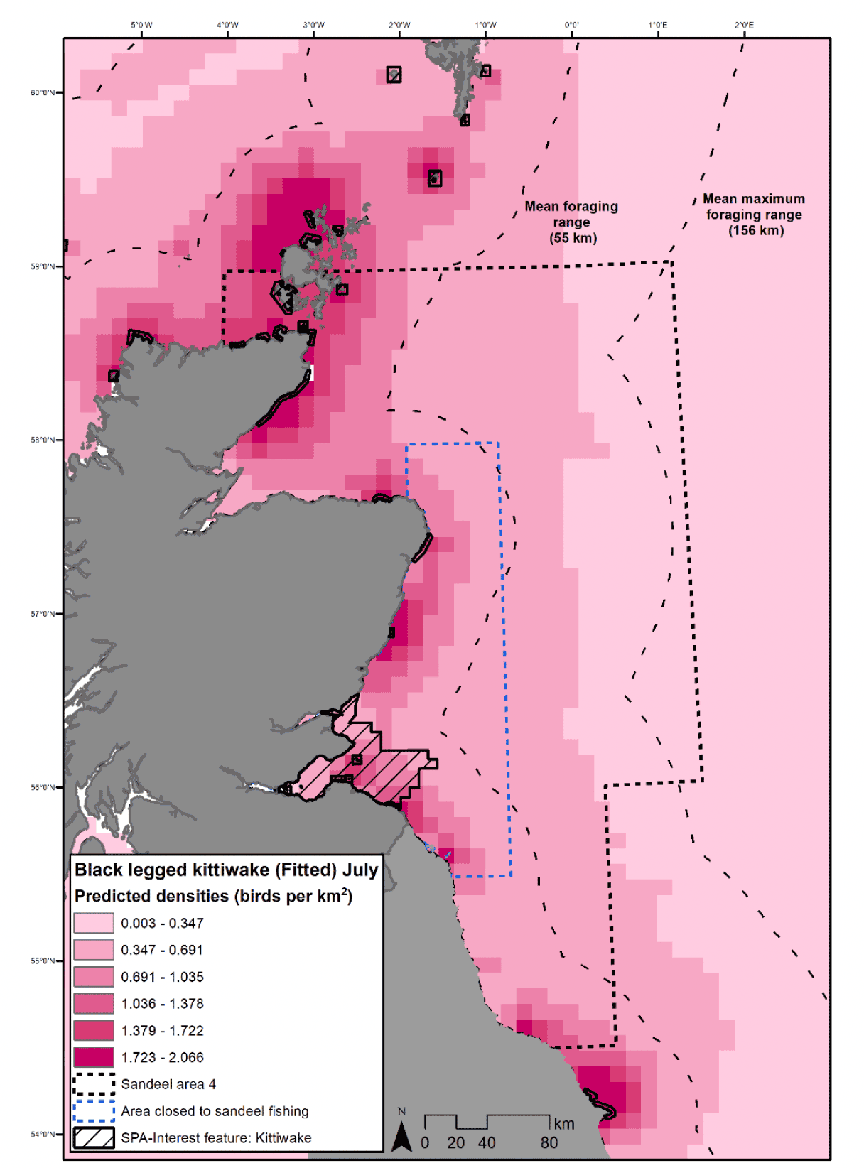 A map of the north west North Sea and eastern Scotland showing predicted black-legged kittiwake densities at sea in July. Density was highest nearer the coast, especially in the vicinity of large colonies