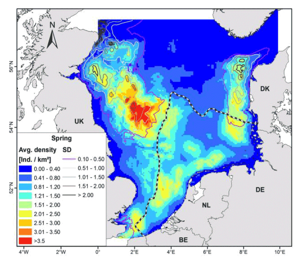 A map of the entire north sea showing predicted harbour porpoise densities. The highest predicted density is shown to occur off the English coast.