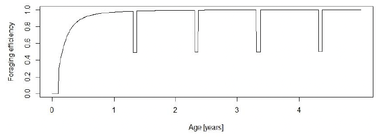 Line graph of predicted variation in foraging efficiency with age, showing the reduction in efficiency during the annual moult, which begins in the second year of life. As described above.