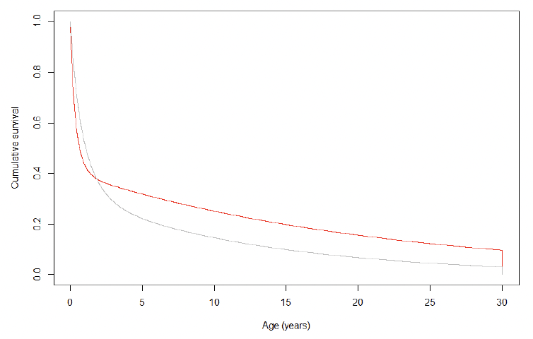 Line graph showing the resulting relationship between Cumulative survival versus Age for female harbour seals. As described in the text above.