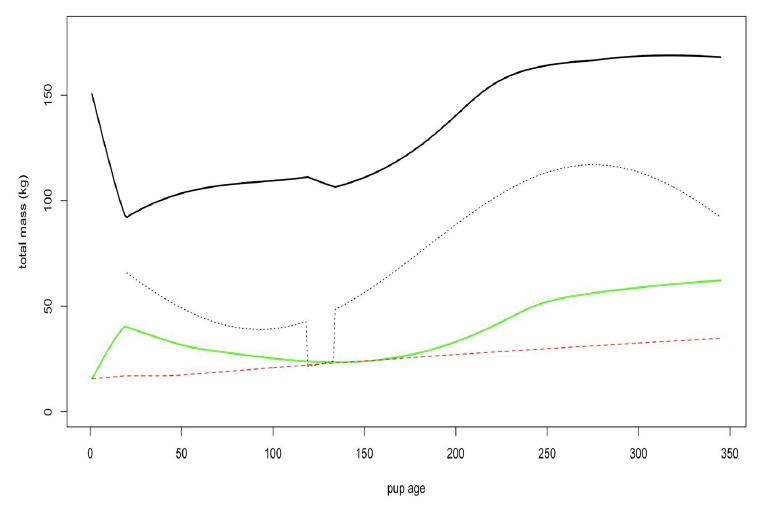 Line graph showing total mass in kg versus pup age in years. The predicted variation in the total body mass of a female and her calf over the course of 1 year. As described in the text above.