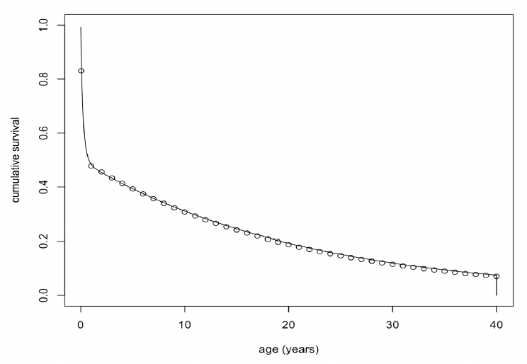 Line graph showing the relationship between cumulative survival and ages (in years) at a maximum age of 40 years. As described in the text above.