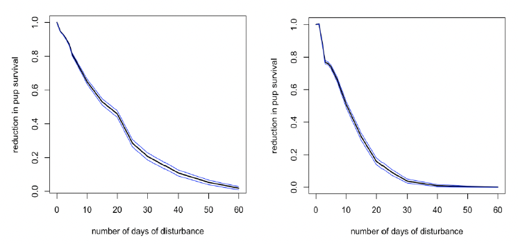 Two line charts showing the reduction in pup survival versus the number of days of disturbance from plantation to 'decision day'. First graph shows the results of lower disturbance effects, and graph two shows the results of higher disturbance effects. As described in the text above.