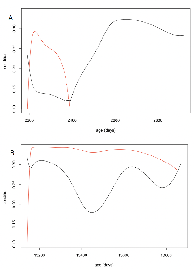 Two lines graphs showing the relationship between body condition of a female and her calf and age (days) over the course of lactation. As described in the text above.
