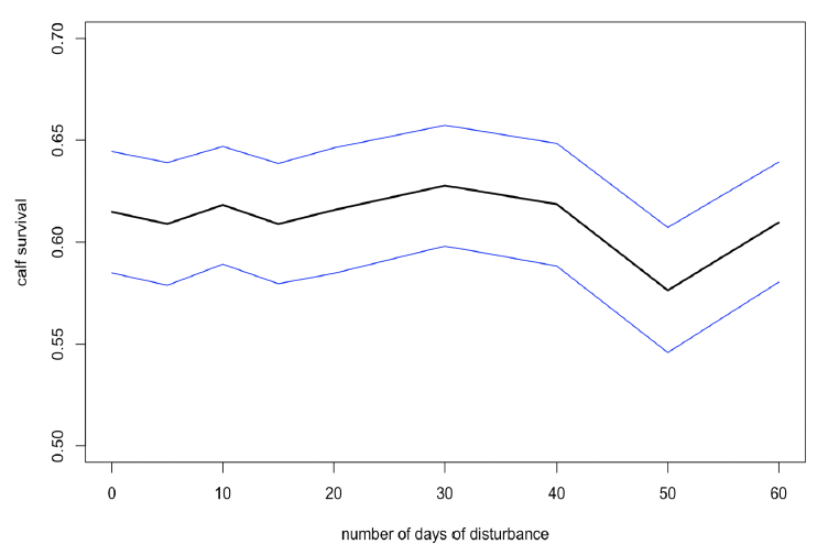 Line graph showing the variations in calf survival from the start of the disturbance period to weaning with the number of days of disturbance. As described in the text above.