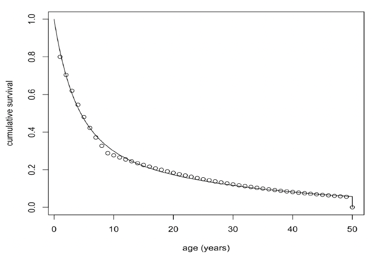 Line graph showing the relationship between cumulative survival and age (years) for female minke whales. As described in the text above.