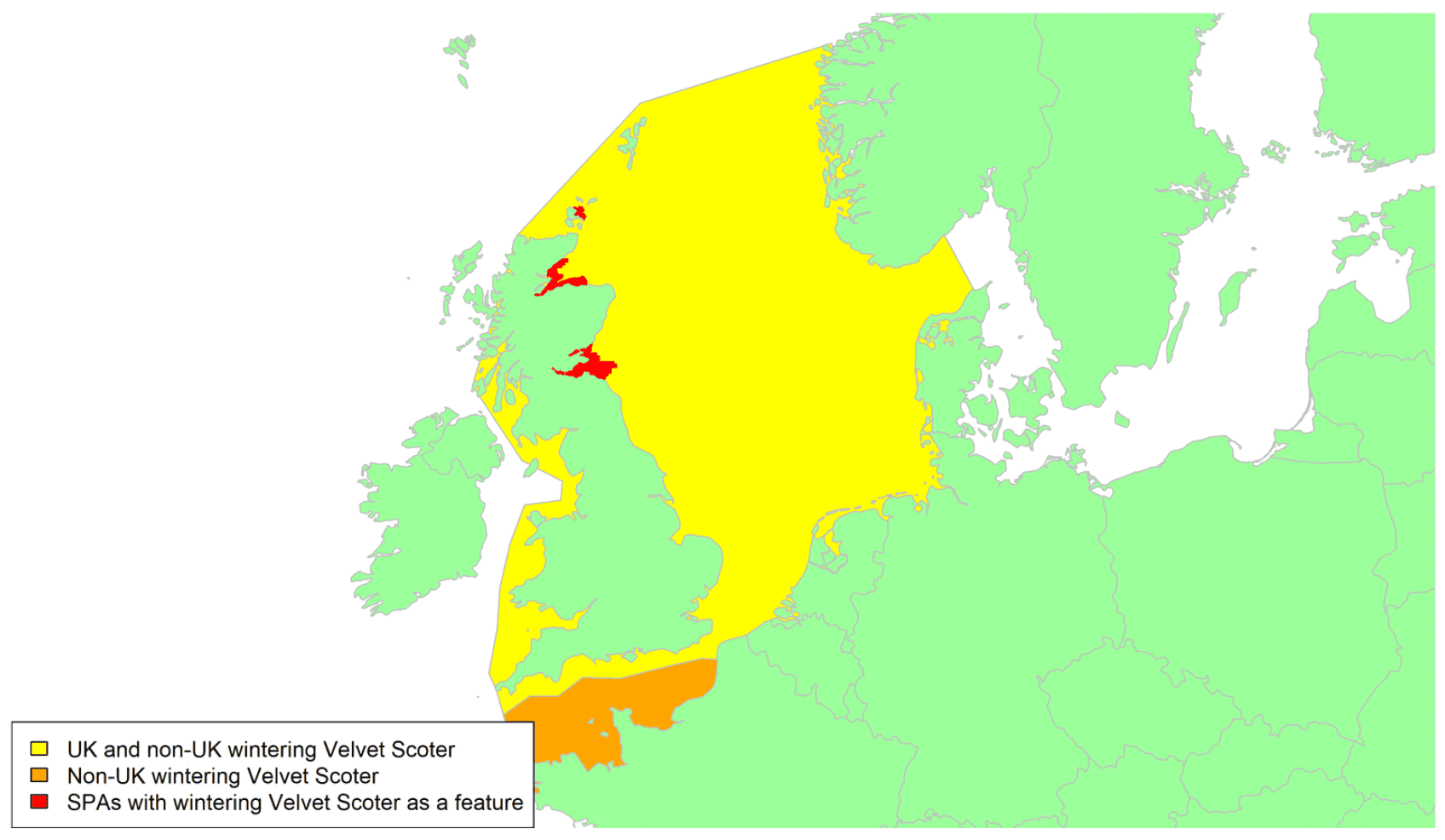 Map of North West Europe showing migratory routes and SPAs within the UK for Velvet Scoter as described in the text below.