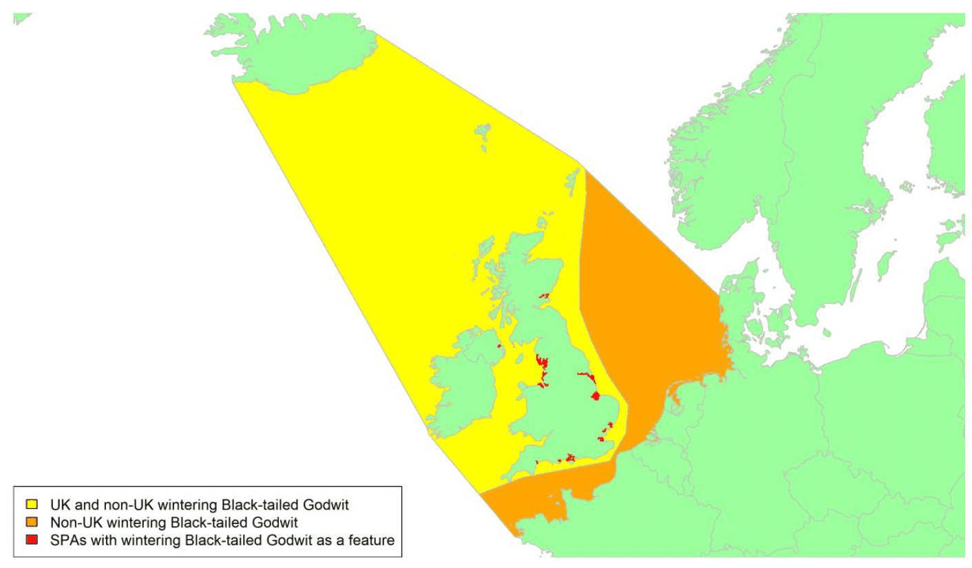 Map of North West Europe showing migratory routes and SPAs within the UK for wintering Black-tailed Godwit as described in the text below.