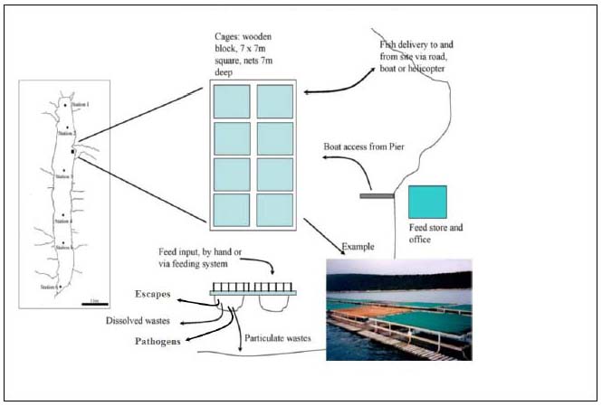 Figure 1: A schematic of the basic physical nature of a typical freshwater pen facility used for rearing salmonids in freshwater lochs