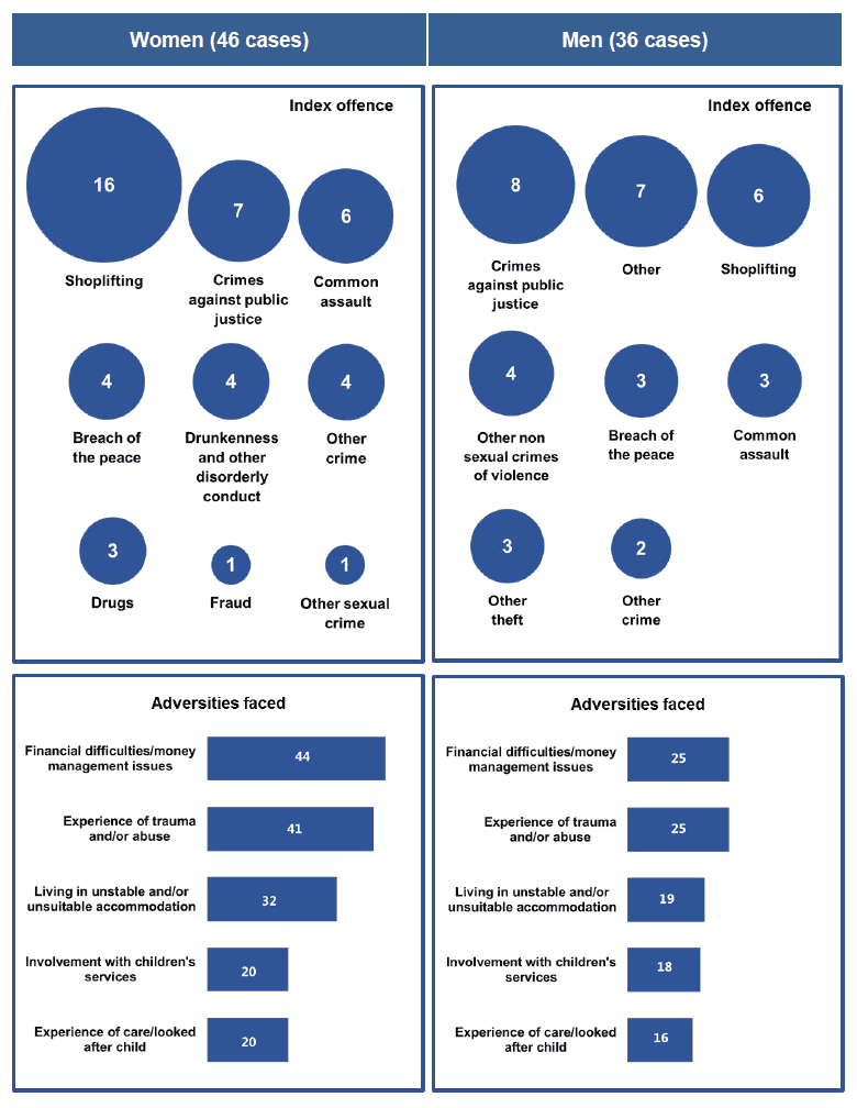 Figure 4.4: Participant's characteristics and needs