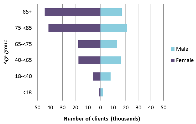 Figure 4: Age and gender of Social Care clients, 2015