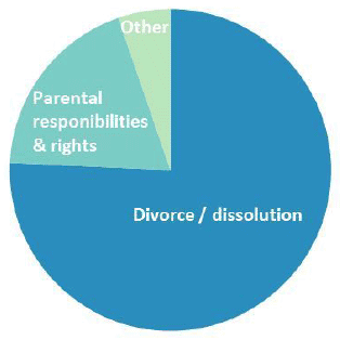 Figure 9: Family cases initiated in the civil courts, 2014-15