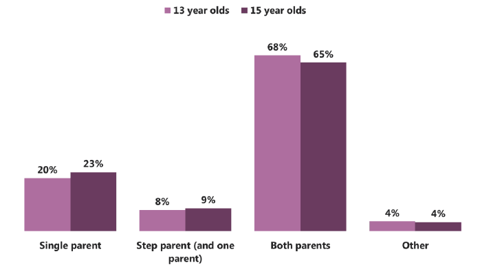 Figure 5.1 Family status by age (2015)
