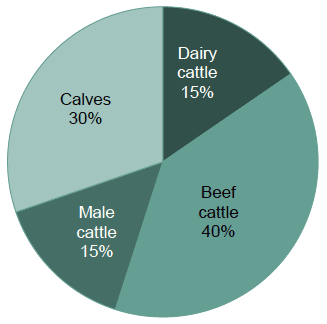 Chart 13: Cattle population, June 2017