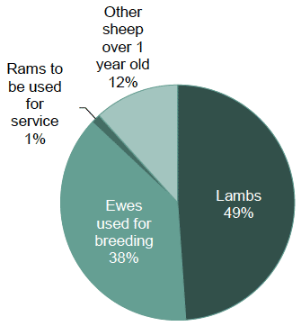 Chart 17: Sheep population, June 2017