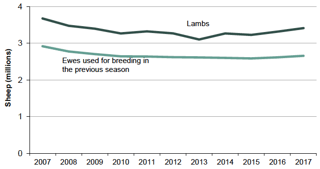 Chart 18: Ewes for breeding and lambs, trends 2007 to 2017