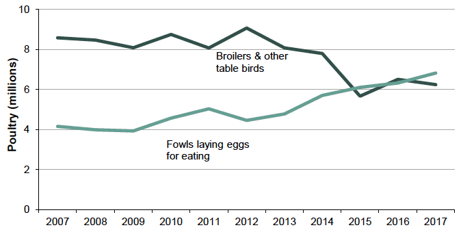 Chart 22: Trends in broiler & table birds, and fowls for producing eggs, 2007 to 2017
