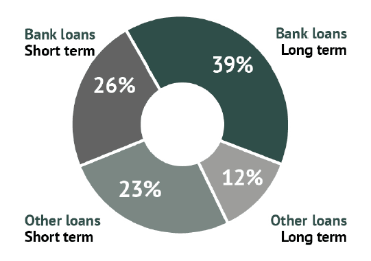 Lending by source and type 2017