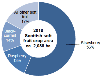 Figure 2 Soft fruit crop areas 2018 (percentage of total area)