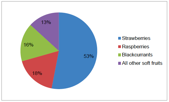 Figure 2 Soft fruit areas 2016 (Percentage of total area)