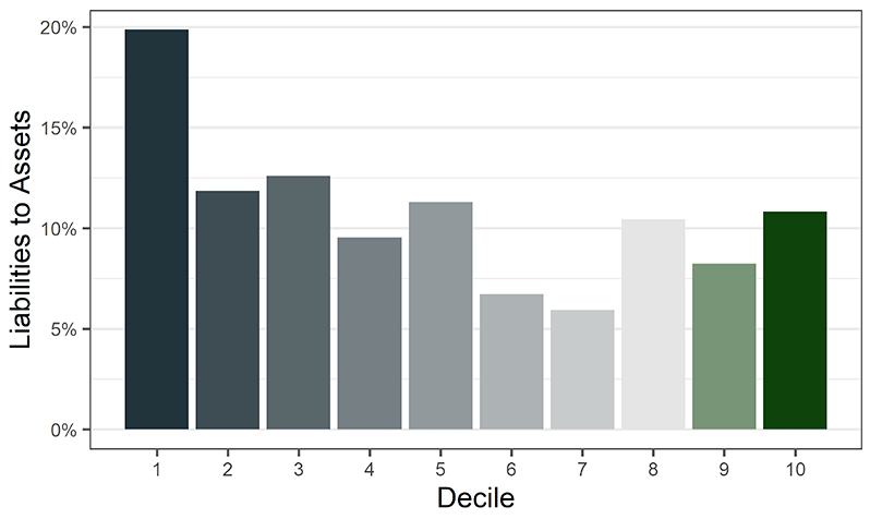A column chart showing average ratio of liabilities to assets for farms in each profitability decile. The ratio is highest for farms in decile one, at around 20%. For other deciles, the average ranges between 5% and 12.5%.