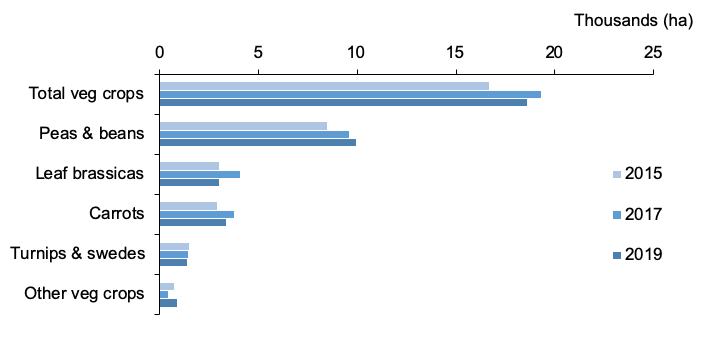 Figure 1: Bar chart showing areas of vegetable crops grown in Scotland in 2015, 2017 and 2019.