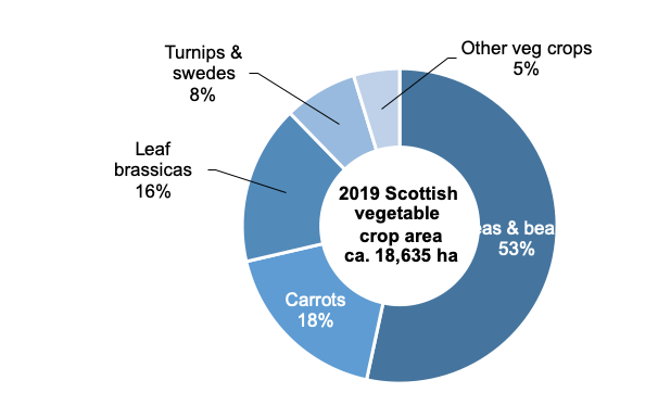 Figure 2: Doughnut chart showing percentage areas of vegetable crop types grown in Scotland in 2019.
