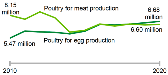 A time series chart showing the number of poultry in Scotland from 2010 to 2020.