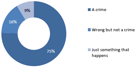 Chart showing victim's description of property crime incidents experienced