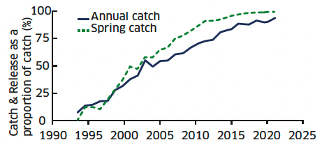 Line graph showing the proportion of annual rod catch that was released from 1994 to 2021, comparing total catch and spring catch