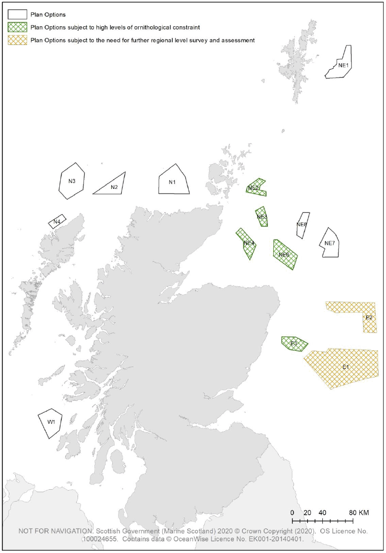 Figure 16 – Map of Scotland and the 15 Plan Options.  Options NE2, NE3, NE4, NE6, E1, E2 and E3 are highlighted to note the ornithology constraint in these areas.