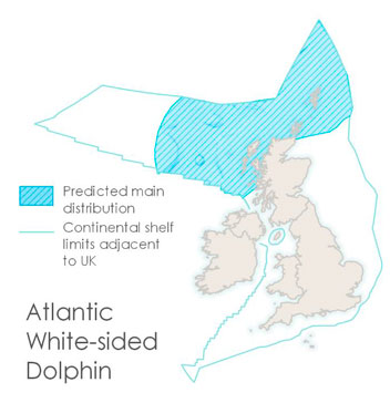 An image of Atlantic white-sided dolphins and a map of the British Isles showing the continental shelf limits adjacent to the UK and where Atlantic white-sided dolphins are found within these waters. The map shows that they are primarily found off the north and north-west coasts of Scotland.