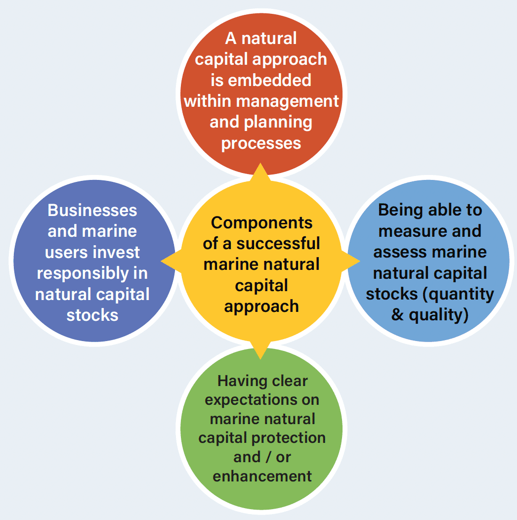 A central yellow circle with four other circles equidistant around it, describing the components of successful natural capital approach interat with each other
