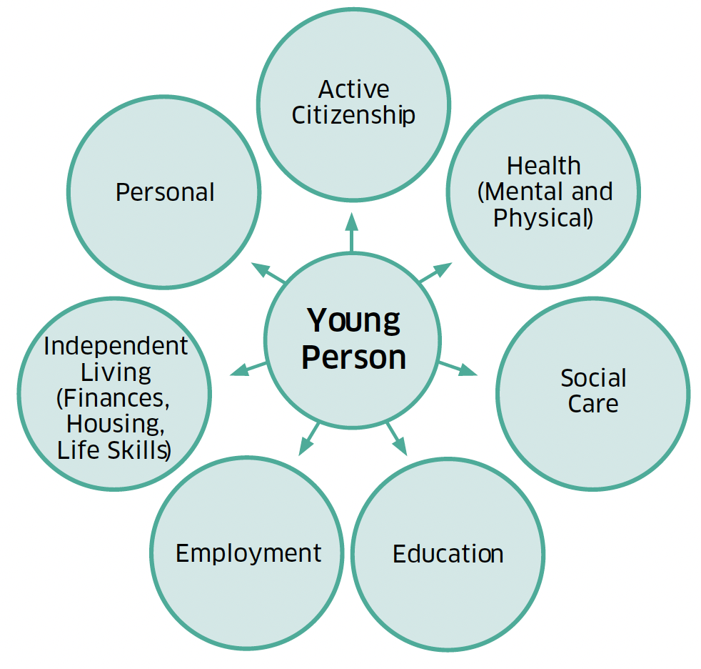 The diagram shows some area that affect disabled young people as they transition to adulthood, such as Independent Living, Health, Employment and Education.