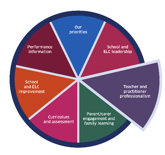 Teacher and practitioner professionalism