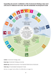 Supporting documents - The Environment Strategy for Scotland: vision ...