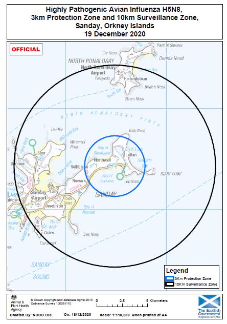 Avian influenza protection zone and surveillance zone map, Sanday, Orkney Islands, 19 December 2020